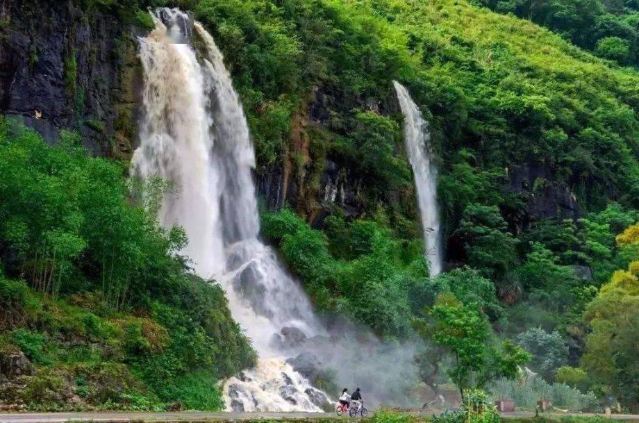 缤纷水果茶